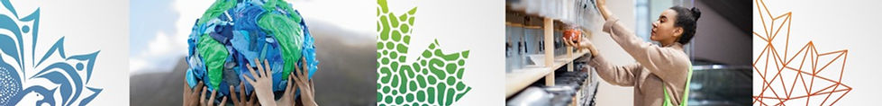 PAZ Banner Graphic
